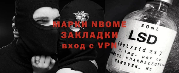 ПСИЛОЦИБИНОВЫЕ ГРИБЫ Кадников