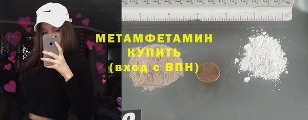 прущие грибы Няндома