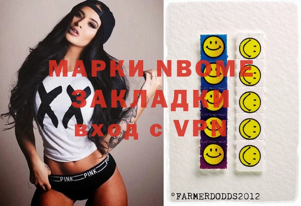 прущие грибы Няндома