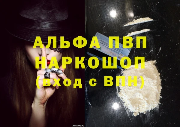 прущие грибы Няндома