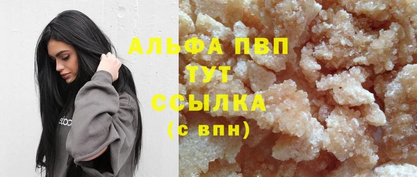 прущие грибы Няндома