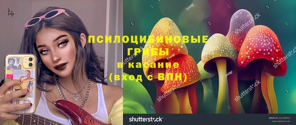 прущие грибы Няндома